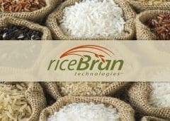 Thumbnail for Shoprite to offer capital, marketing support to partnering SMMEs through newly formed division