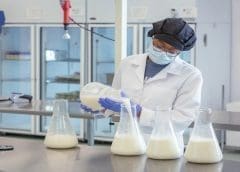 Thumbnail for IFF launches new clean label ingredient that enhance stability, mouth feel of plant-based beverages