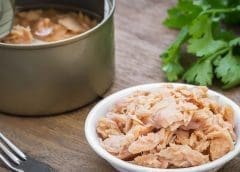 Thumbnail for Nigeria to welcome launch of new food delivery outfit under ecommerce company Konga