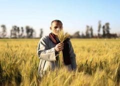 Thumbnail for Kentucky farmers receive US$3.25M relief fund after tornado damage