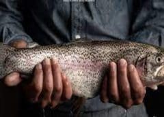 Thumbnail for Marico strengthens healthy foods segment and diversifies digital portfolio with True Elements stake acquisition