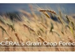 Thumbnail for FAT Brands to buy Nestle Toll House Café by Chip franchised chain