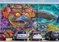 Thumbnail for ADM to invest in expanding starch production to meet fast-growing demand