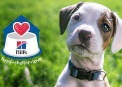 Thumbnail for Hill’s Pet Nutrition to acquire Red Collar Pet Foods plants