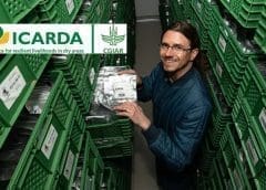 Thumbnail for SA retailer Pick n Pay launches aggressive plan to take on competitors