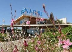 Thumbnail for Green Plains Partnership with Riverence Holdings to expand aquafeed production in Idaho, USA