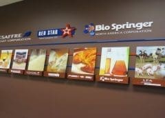 Thumbnail for Glutamic acid supplementation may compensate for crude protein reduction in piglet diets