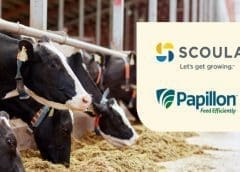 Thumbnail for Pernod Ricard India to remove permanent mono-cartons across its portfolio of brands