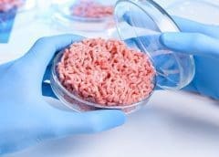 Thumbnail for Ivorian cooperative forms JV with Italian partners to build US$10.5M cocoa processing plant