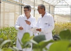 Thumbnail for China overtakes US, EU to become the world’s largest funder of agricultural R&D 