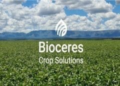 Thumbnail for #Snack Tuesday: New products from Hippeas, Pladis, Levain Bakery, Shār Snacks, Cinnabon, Stan’s Donuts, and Magnolia Bakery