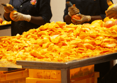 Thumbnail for Giant Millers Ltd: Canna brand maker gives Kenyans a taste of safe and nutritious maize meal