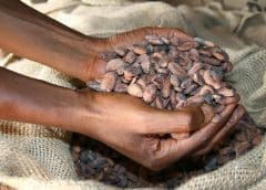 Thumbnail for Egyptian grocery delivery platform Appetito acquires Tunisian industry peer Lamma to fuel expansion plan