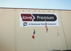 Thumbnail for National Beef stops the ongoing expansion of Iowa beef plant a few months after start