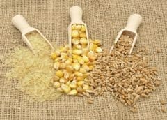 Thumbnail for Brazil soybean crop to deliver despite problematic weather