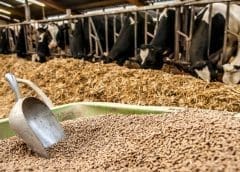 Thumbnail for Garagum dairy company receives EBRD, EU support to re-brand and develop product portfolio