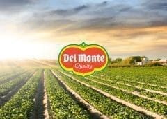 Thumbnail for Fresh Del Monte expands into row crops as it finds innovative ways to optimize its assets