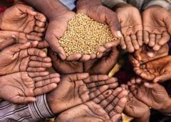 Thumbnail for Port of Tilbury installs new grain storage units