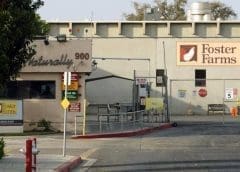 Thumbnail for Agrial acquires Reilhe Martin company to bolster presence in poultry market