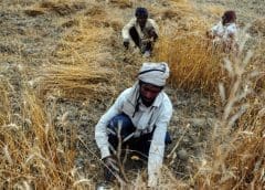 Thumbnail for Rebranded Mcdonald’s assumes the name Vkusno & Tochka, starts operations in Russia