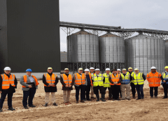 Thumbnail for Opalia pioneers cell-based milk production in Canada