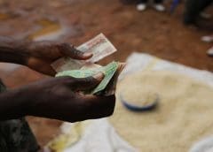 Thumbnail for Divaks secures US$3M in seed funding round to develop insect-derived ingredients for food and feed