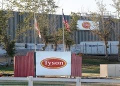 Thumbnail for Tyson Foods purchases stake in Saudi-based Tanmiah Food Company to expand global protein footprint