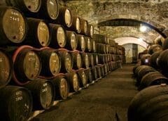 Thumbnail for Virgin Active receives Tribunal’s go ahead to acquire healthy food offering partners Kauai, Nü