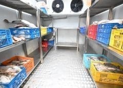 Thumbnail for South African retailers attain rise in sales as they shield consumers from biting food inflation