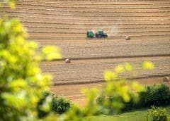 Thumbnail for Cult Food Science invests in cell-based coffee alternative company to increase global food security