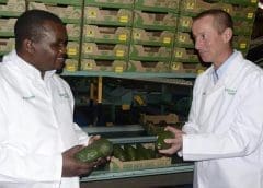 Thumbnail for SA agri-tech startup Aerobotics unveils new yield management platform for growers