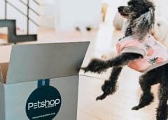 Thumbnail for Benin’s Africa Negoce Industries receives US$2.7m financial backing from Oikocredit