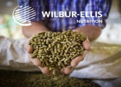 Thumbnail for Barry Callebaut chocolate plant ceases operations following Salmonella outbreak