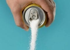 Thumbnail for EverGrain opens first major US plant protein production facility