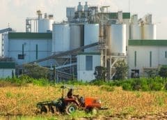 Thumbnail for AB Agri acquires animal supplement and care business Greencoat Limited
