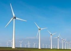 Thumbnail for Bureau Veritas’ Cyprian Kabbis to speak at Africa Food Safety Summit 2022