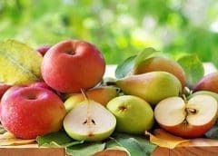 Thumbnail for SKF names new Chief Technology Officer, unveils new hybrid deep groove ball bearing for high-speed applications