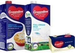 Thumbnail for DSM develops precision biotic to optimize poultry performance