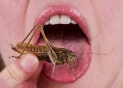 Thumbnail for Nutrien appoints Ken Seitz new CEO