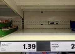 Thumbnail for Low sales volumes impact Oceana Group’s interim earnings registering 11% dip in revenue