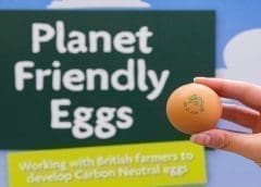 Thumbnail for Hormel Foods introduces new strategic business model, transitions to three operating segments