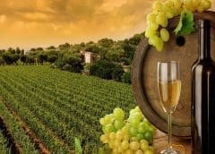 Thumbnail for Kenya and Tanzania settle trade dispute paving way for tea exports 