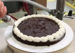 Thumbnail for DSM develops precision biotic to optimize poultry performance