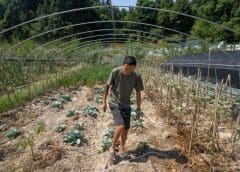 Thumbnail for Arla launches first verified climate roadmap towards carbon net zero dairy