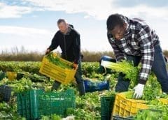 Thumbnail for Tim McLachlan to succeed Jon Poole as Institute of Food Science and Technology Chief Executive