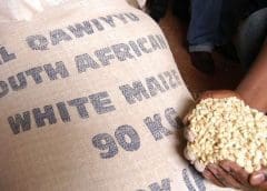 Thumbnail for Louis Dreyfus opens soy liquid lecithin plant