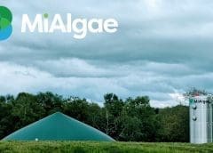 Thumbnail for MiAlgae secures US$2.7m funding to scale sustainable production of Omega 3 oils