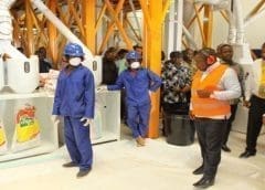 Thumbnail for InterGrain launches a new barley variety well suited to Australian conditions