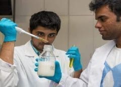 Thumbnail for Fonterra and DSM extend partnership into non-dairy segment, launch joint venture  