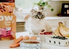 Thumbnail for Venchi opens new flagship store in London